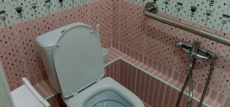 Meeting Diverse Needs With Accessible Restroom Solutions in Linton Hall, VA